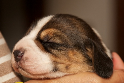 smbaeta's profile picture. 