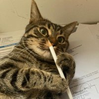 Damien Cambet (@cambetdamien) 's Twitter Profile Photo Damien Cambet (@cambetdamien) 's Twitter Profile Photo