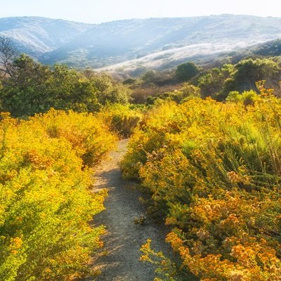 Protecting 🌳🌊 🐍 🦅 🐋 🏠 🐿 🔬 at Crystal Cove State Park on the traditional unceded lands of the Acjachemen and Tongva Tribal Nations ❤️