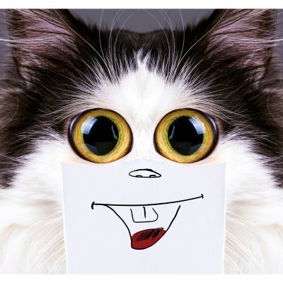 ClipsHumor's profile picture. Hope this brings some stress relieve🤪