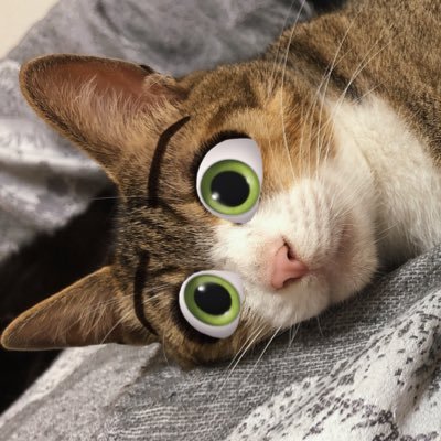 しゃぺ太ゴン之助さんのプロフィール画像
