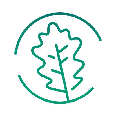 LifeRebollo Profile