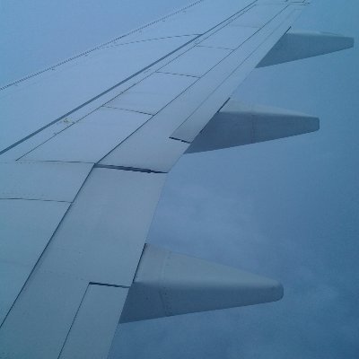 narkise's profile image