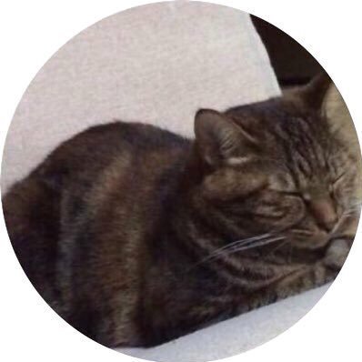 Eringyamk4's profile picture. εïз~ ⁽⁽꜀(:3꜂ ꜆)꜄⁾⁾ ハラヘリッ