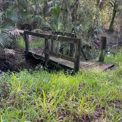 DanHotta954's profile picture. Living Life