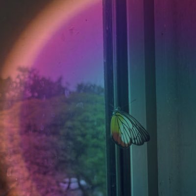 HusniRedzuan's profile picture. 