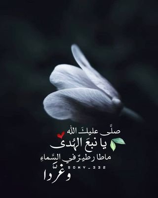 alfars01991843's profile picture. لا الله الا الله محمد رسول الله♥️