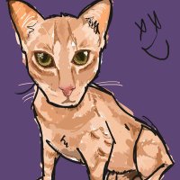 just say crypto (@haderahashgraph) 's Twitter Profile