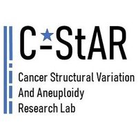 c-StAR lab ¦ Contino lab (@cstarlab) 's Twitter Profile Photo
