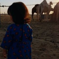 ام جوري🌿 (@look3835) Twitter profile photo