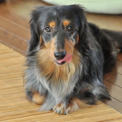 ddg170sawakaze's profile picture. お店でよく見かける機械のメンテナンスをしている小人です。
レンズ沼、カメラ沼の住人です。おいでよ、カメラ沼(ニッコリ
ゲームはF1とfgoがメイン