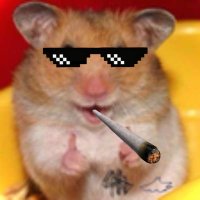 El Putisimo Hamster (@hamsterputisimo) 's Twitter Profile