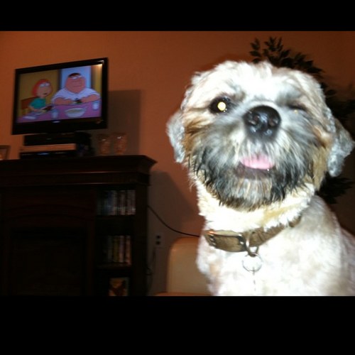 schurmanj1207's profile picture. Live it up n' have no regrets //