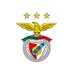 News Benfica (@_BenficaNews) Twitter profile photo