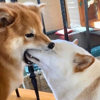 Howthreeさんのプロフィール画像