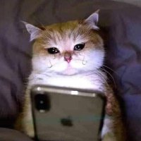 tash ๐บ (@goshtash) 's Twitter Profile Photo tash ๐บ (@goshtash) 's Twitter Profile Photo
