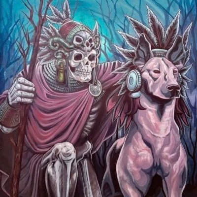 Jose41092294's profile picture. 