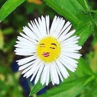 BIGBANG👑ヨンベ🌞/ iKON🖤ジナン🧚♂️/BABYMONSTAR🦋アヒョン/BLACKPINK🐻ジェニ🌹/Treasure💎ヒョンソク/TEDDYペン/KポはBIGBANG2009から〜垢復活できず/祝トンヨンベとヨントンサイン会/Kポ大好き雑食/バンタン垢🐥→@1013may5