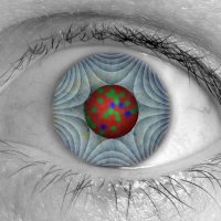 David Williams Lab (@dwilliamslab) 's Twitter Profile