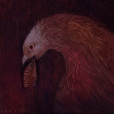 pigeonteef 🤡さんのプロフィール画像