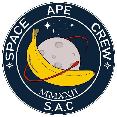 SpaceApeCrew