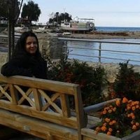 Meral Çetin (@meralce123) Twitter profile photo