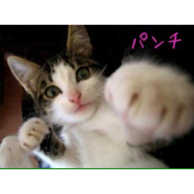 13_mikineko's profile picture. 