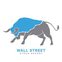 Wall Street Stock Report(@WallStStockRprt) 's Twitter Profile Photo