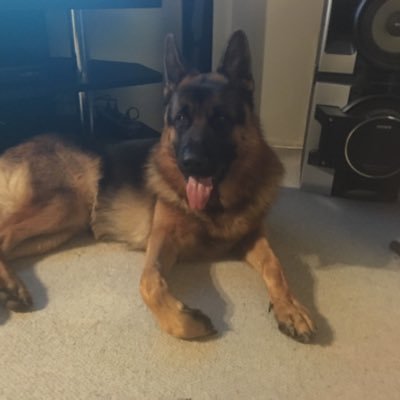 brett_nowell's profile picture. 