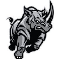 rhinoasecret's profile picture. 🦏