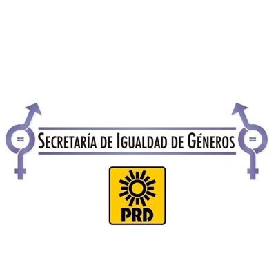 La SIG es el órgano encargado de proponer y dirigir la estrategia, actividades y líneas de acción encaminadas a disminuir brechas de desigualdad de género