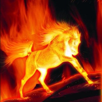 firehorsejoe's profile picture. Self-Sovereign Decentralization idealist ;)
