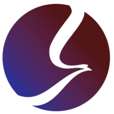 Soar Financial Profile