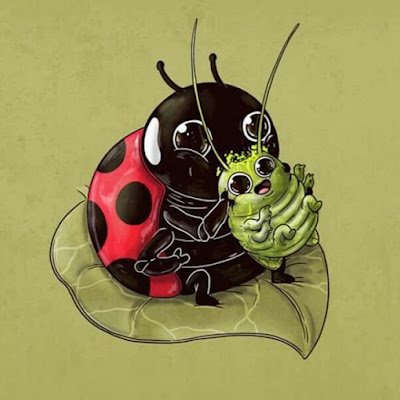 pe55883207's profile picture. Ok