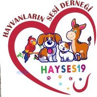 HAYVANLARIN SESİ 19 DERNEĞİ (@hayses19) Twitter profile photo
