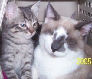 WTFerpated4life's profile picture. @_@