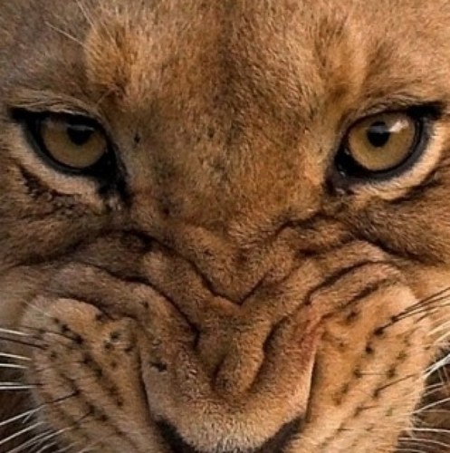 relhadari's profile picture. 