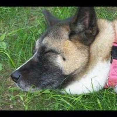 davebeach6242's profile picture. 