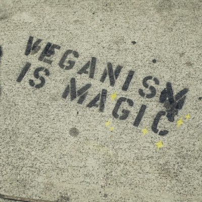 Veganism is about animal liberation. Spreading knowledge, love, recipes, and peace. Recognize change and let's chat and grow.