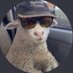 S!nc4 (@tbsnc4) Twitter profile photo S!nc4 (@tbsnc4) Twitter profile photo