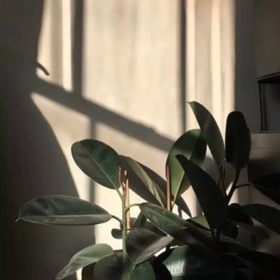 {أفحسبتم أنما خلقناكم عبثاً و أنكم إلينا لا ترجعون}” أن غبتُ يوماً وغابت أخباري فالدٌعاء وصيه بيننا “ مُغرمه بالورد🌸التصوير📸الكتب📚الرسم🎨