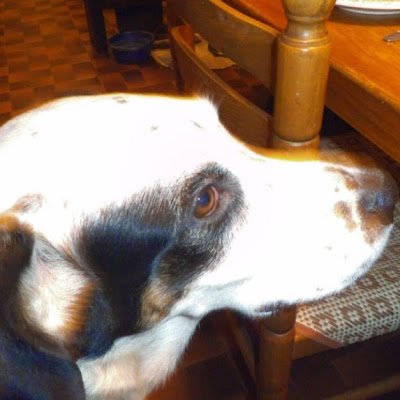 RichardMansard's profile picture. 