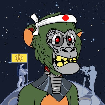 feimeister's profile picture. Hello!