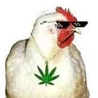 Fried Chicken(@flamingastrix) 's Twitter Profile Photo