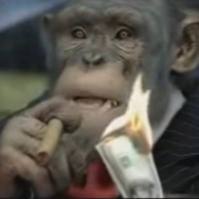 five_hole19's profile picture. 30+ yr Investor, free thinker, part time researcher. Semi retired. golfer.