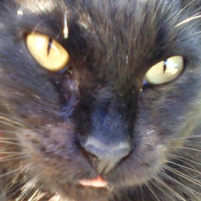 CathrynLy2's profile picture. 