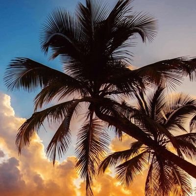 m99094906's profile picture. انسان صريح والمصداقيه اهم شي معي في الحياة