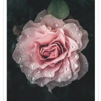 Oscar Winkerfield (@owinkerfield) 's Twitter Profile