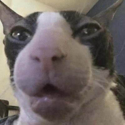 7okyoSmoke's profile picture. 