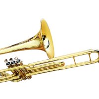 うぐいす🌸🪷🫖 (@4_crescent) 's Twitter Profile